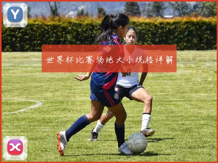 世界杯比赛场地大小规格详解