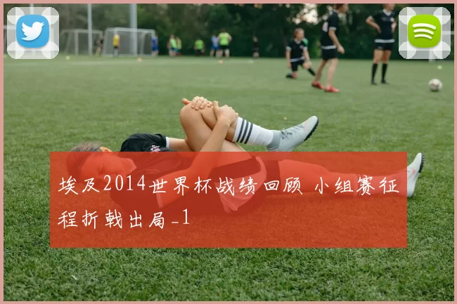 埃及2014世界杯战绩回顾 小组赛征程折戟出局_1