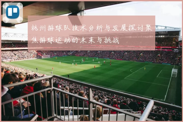 杭州排球队技术分析与发展探讨聚焦排球运动的未来与挑战