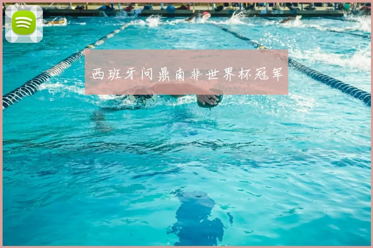 西班牙问鼎南非世界杯冠军