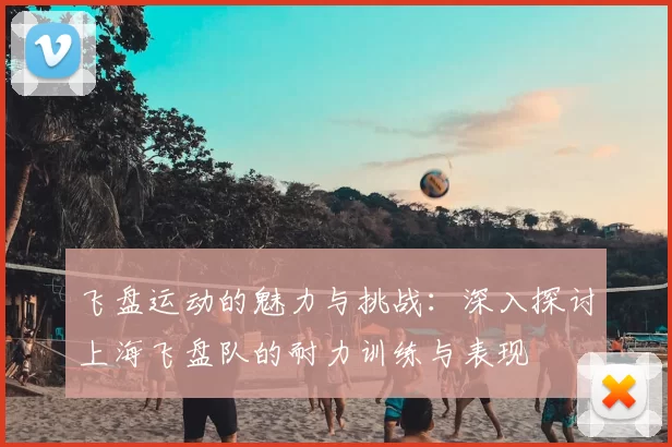 飞盘运动的魅力与挑战：深入探讨上海飞盘队的耐力训练与表现