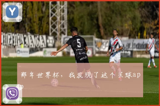 那年世界杯,我发现了这个买球app