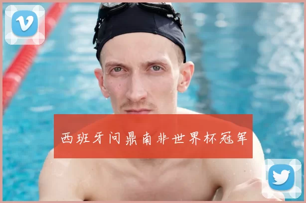 西班牙问鼎南非世界杯冠军
