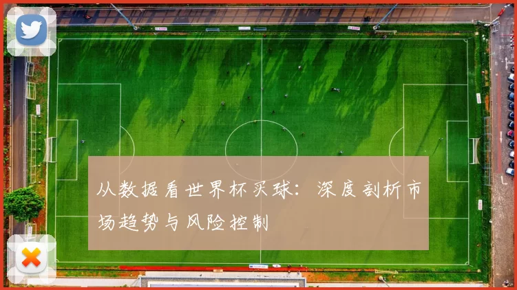 从数据看世界杯买球:深度剖析市场趋势与风险控制