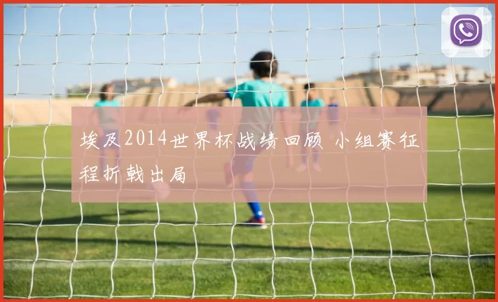埃及2014世界杯战绩回顾 小组赛征程折戟出局