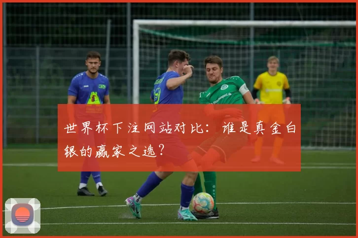 世界杯下注网站对比：谁是真金白银的赢家之选？