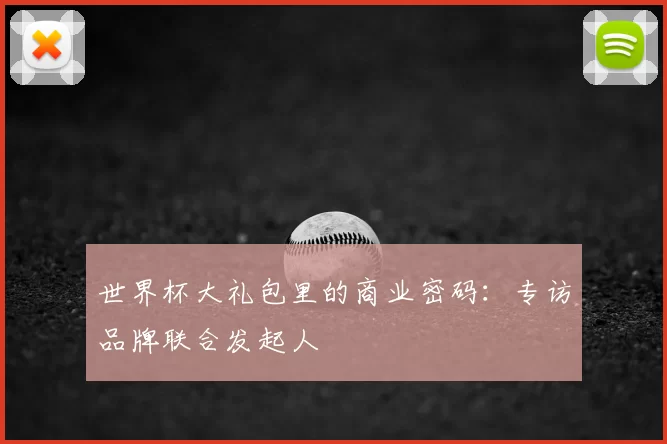 世界杯大礼包里的商业密码:专访品牌联合发起人
