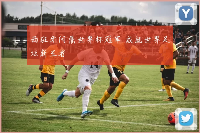 西班牙问鼎世界杯冠军 成就世界足坛新王者