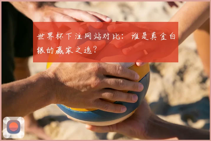 世界杯下注网站对比：谁是真金白银的赢家之选？