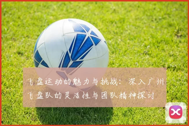 飞盘运动的魅力与挑战:深入广州飞盘队的灵活性与团队精神探讨
