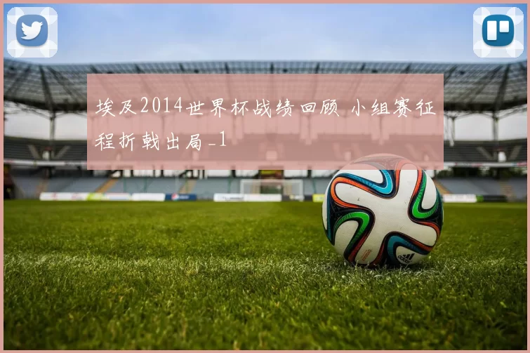 埃及2014世界杯战绩回顾 小组赛征程折戟出局_1