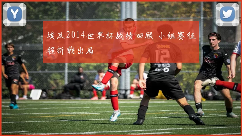 埃及2014世界杯战绩回顾 小组赛征程折戟出局