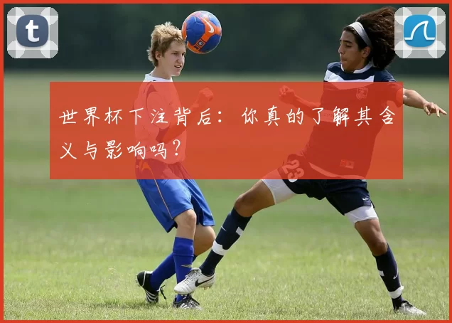 世界杯下注背后:你真的了解其含义与影响吗?